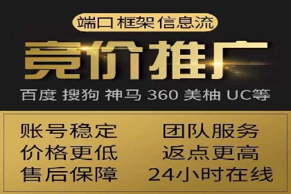 行业标杆：SEM推广代运营成功案例